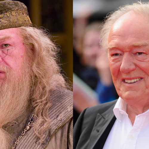 Remembering Sir Michael Gambon: The Iconic Dumbledore of Harry Potter